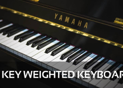 The 5 Best 88 Key Weighted Digital Pianos & Keyboards Reviews