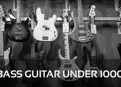 The 5 Best Bass Guitar Under 1000 Reviews