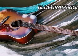 The 5 Best Bluegrass Guitars Reviews