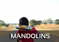 The 5 Best Mandolins for the Money Reviews