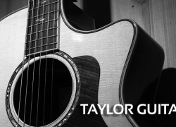 The 5 Best Taylor Guitar Reviews
