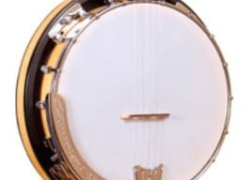 Honest Gold Tone CC-100R Banjo Review
