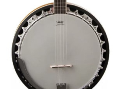 Honest Washburn Americana B9 Banjo Review