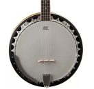 Honest Washburn Americana B9 Banjo Review